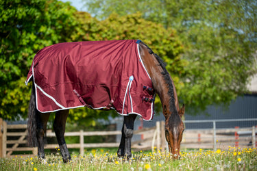 Gallop Trojan Xtra 50g Standard Neck Turnout Rug