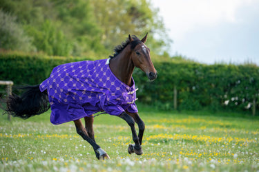 Gallop Trojan Monarch 100g Standard Neck Turnout Rug