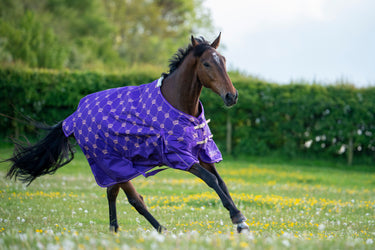 Gallop Trojan Monarch 100g Standard Neck Turnout Rug