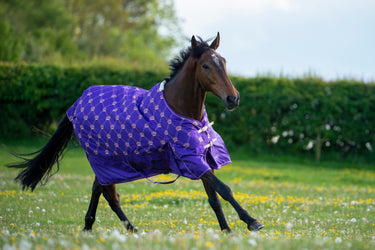 Gallop Trojan Monarch 100g Standard Neck Turnout Rug