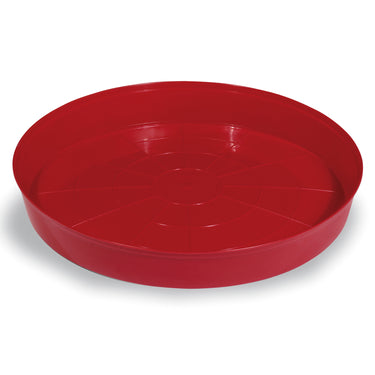 Buy Gaun Chick Tray Feeder | Online for Equine