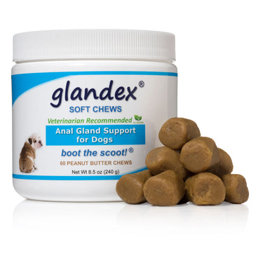 Buy Glandex Anal Gland Support Chew Treats | Online for Equine