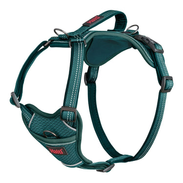 Halti Anatomy Harness Teal