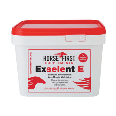 Buy Horse First Exselent E | Online for Equine