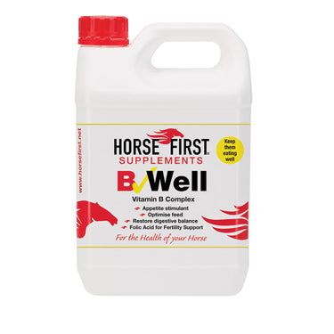 Buy Horse First B-Well | Online for Equine