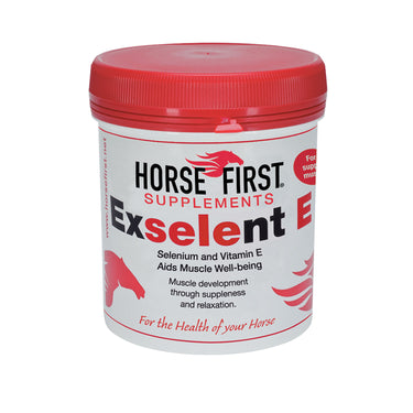 Buy Horse First Exselent E | Online for Equine