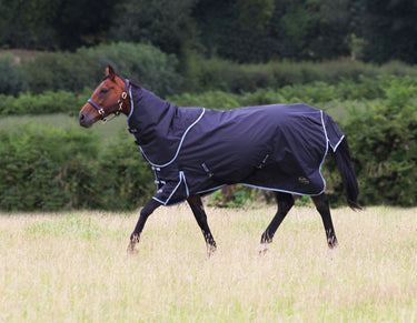 Gallop Trojan 300g Dual Turnout Rug & Neck Set