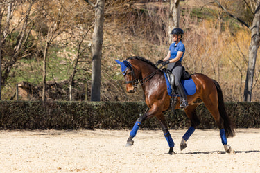 LeMieux Suede Dressage Square Benetton Blue