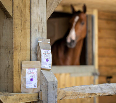 Buy Gumbits| Online for Equine