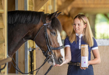 Buy Gumbits | Online for Equine