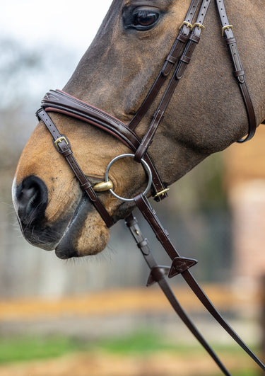 Buy LeMieux Kudos Competition Havana Flash Bridle | Online for Equine