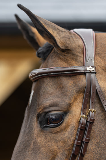 Buy LeMieux Kudos Competition Havana Flash Bridle | Online for Equine