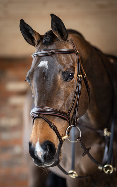 Buy LeMieux Kudos Competition Havana Flash Bridle | Online for Equine