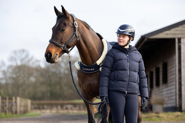 Buy LeMieux Navy Horse Walker Rug | Online for Equine