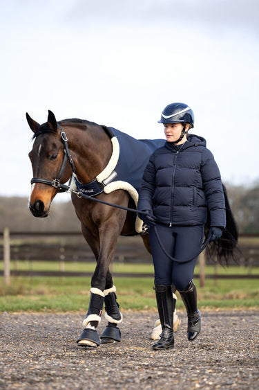 Buy LeMieux Navy Horse Walker Rug | Online for Equine