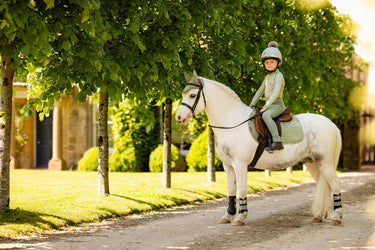 Buy the LeMieux Fern Mini Fly Hood | Online for Equine