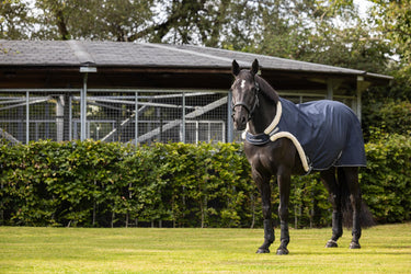 Buy LeMieux Navy Horse Walker Rug | Online for Equine