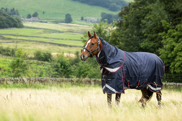 LeMieux 300g Kudos Thermo Layer Turnout Rug Navy