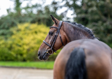 LeMieux Arika Cavesson Bridle Brown/Silver