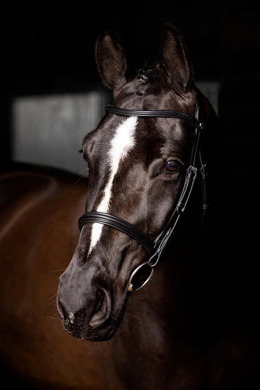 LeMieux Arika Cavesson Bridle Black/Silver