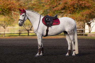 Buy the LeMieux Ember Loire Classic Close Contact Square | Online for Equine