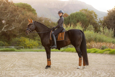 Buy the LeMieux Ginger Loire Classic Satin Dressage Square | Online for Equine