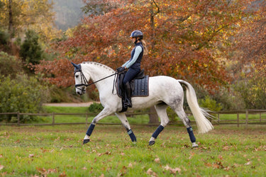 Buy the LeMieux Petrol Loire Classic Satin Dressage Square | Online for Equine