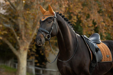 Buy the LeMieux Ginger Loire Fly Hood | Online For Equine