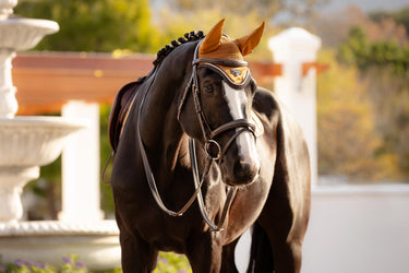 Buy the LeMieux Ginger Loire Fly Hood | Online For Equine