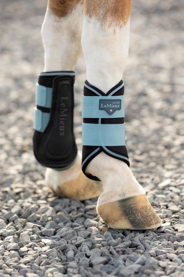 Buy the LeMieux Glacier Mini Brushing Boots | Online for Equine