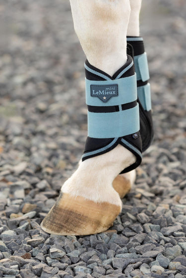 Buy the LeMieux Glacier Mini Brushing Boots | Online for Equine