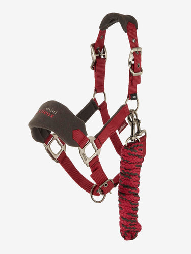 Buy the LeMieux Ember Mini Vogue Headcollar | Online for Equine