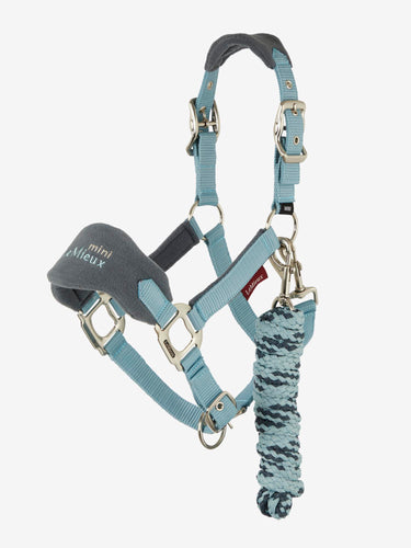 Buy the LeMieux Glacier Mini Vogue Headcollar | Online for Equine