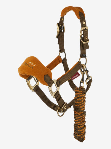 Buy the LeMieux Alpine Mini Vogue Headcollar | Online for Equine