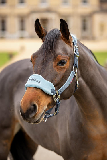 Buy the LeMieux Petrol Vogue Headcollar & Leadrope  | Online for Equine