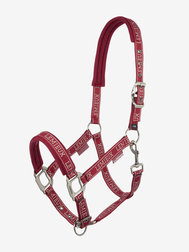 Buy the LeMieux Ember Logo Headcollar | Online for Equine