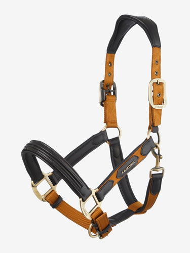 Buy the LeMieux Ginger Capella Headcollar | Online for Equine