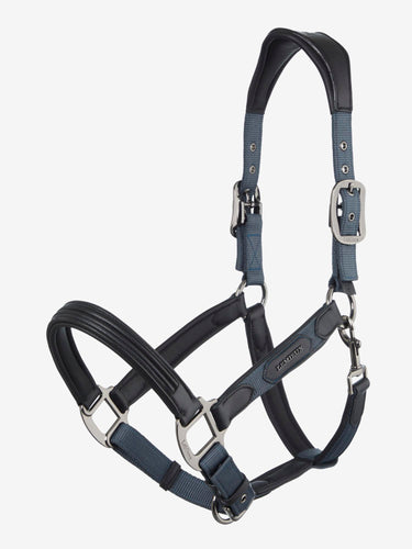 Buy the LeMieux Petrol Capella Headcollar | Online for Equine