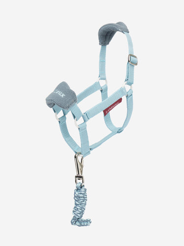 Buy the LeMieux Glacier Hobby Horse Headcollar | Online for Equine