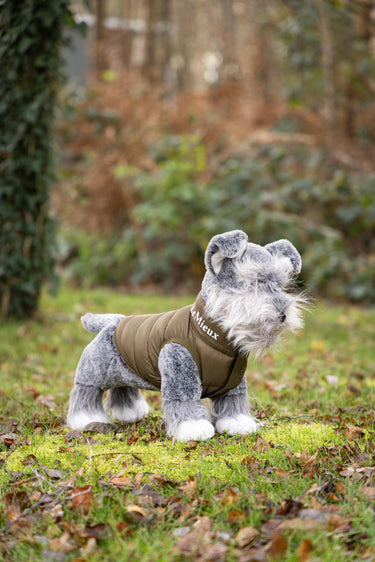 Buy the LeMieux Toy Puppy Cooper Schnauzer | Online for Equine