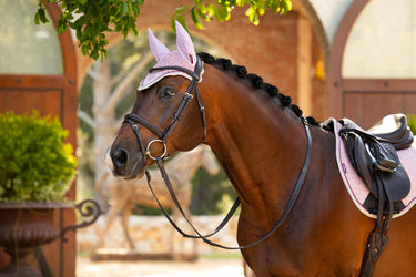 Buy LeMieux Classic Fly Hood Blossom | Online for Equine