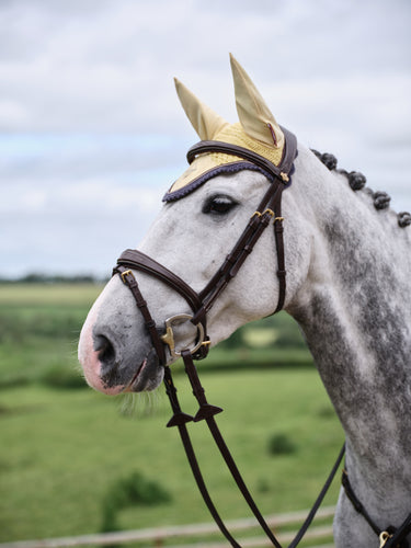 Buy LeMieux Classic Fly Hood Mimosa | Online for Equine