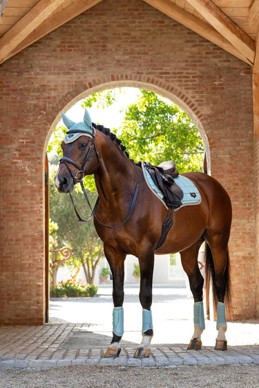 Buy LeMieux Loire Classic Close Contact Square Aqua | Online for Equine