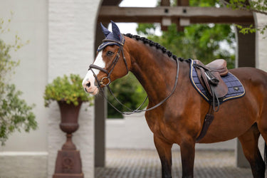 Buy LeMieux Loire Classic Close Contact Square Dusk Blue | Online for Equine