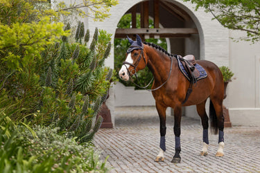 Buy LeMieux Loire Classic Close Contact Square Dusk Blue | Online for Equine