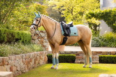 Buy LeMieux Loire Classic Dressage Square Aqua | Online for Equine