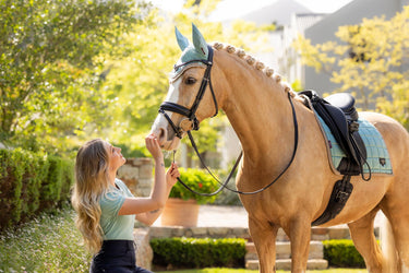 Buy LeMieux Loire Classic Dressage Square Aqua | Online for Equine