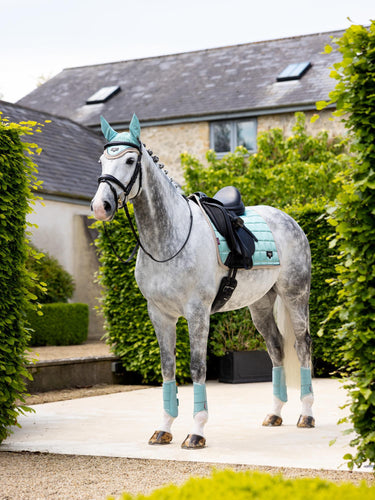 Buy LeMieux Loire Classic Dressage Square Aqua | Online for Equine