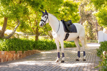 Buy LeMieux Loire Classic Dressage Square Dusk Blue | Online for Equine