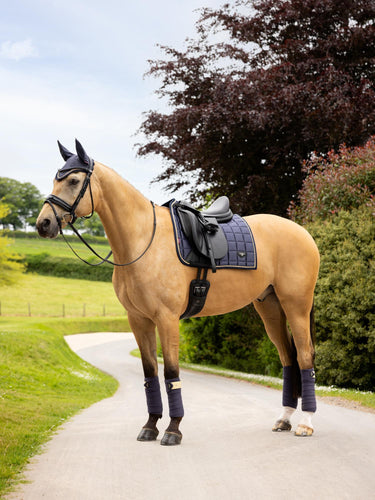 Buy LeMieux Loire Classic Dressage Square Dusk Blue | Online for Equine